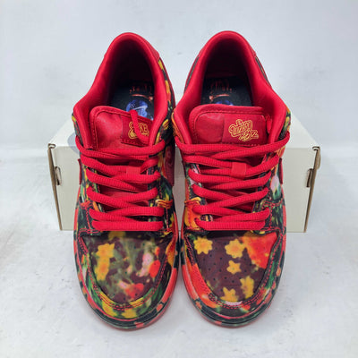 Nike SB Dunk Low The Wizard of Oz Poppy Field (PS/TD)