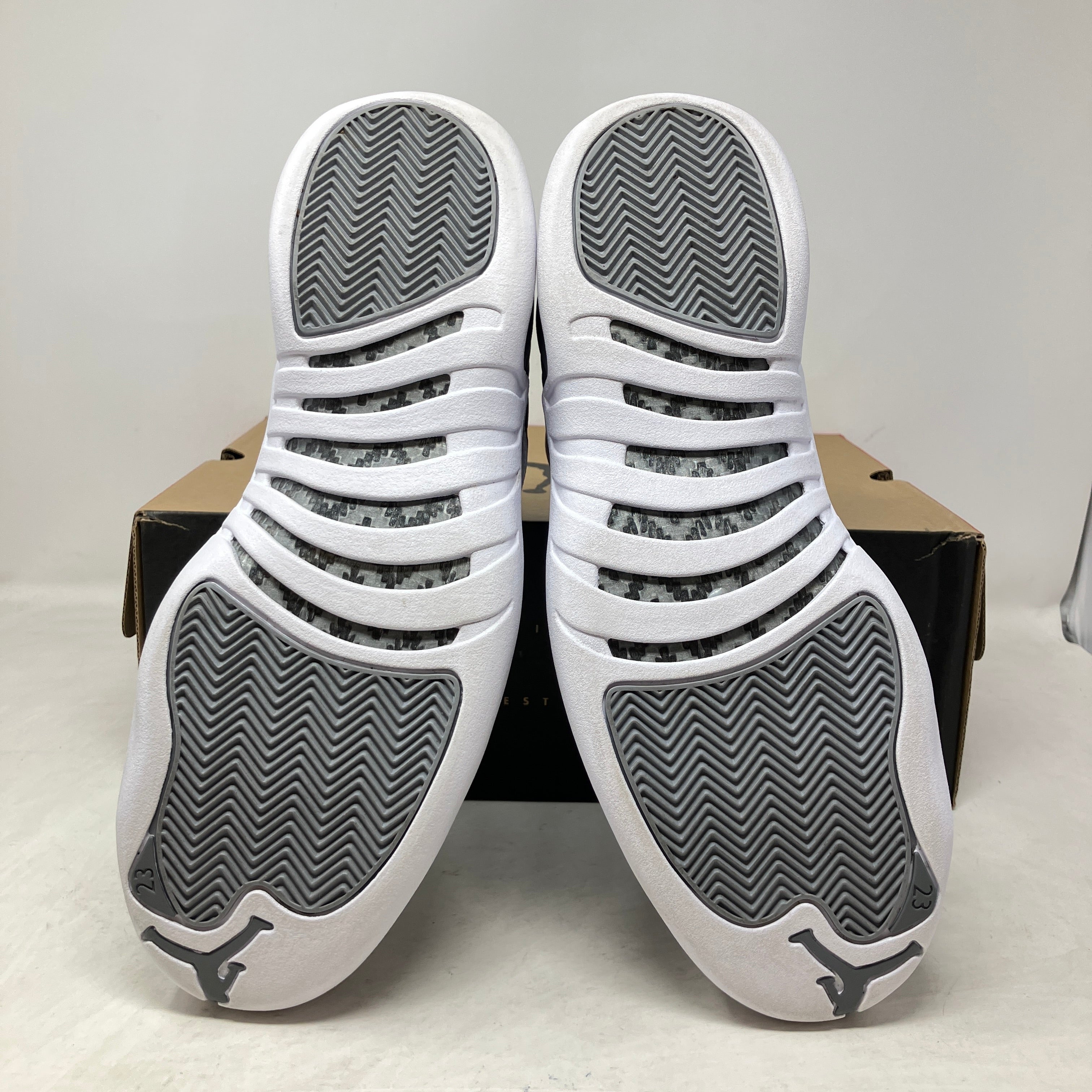 Jordan 12 Retro Stealth