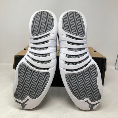 Jordan 12 Retro Stealth