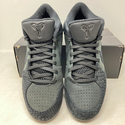 Nike Kobe 4 Protro Gift of Mamba