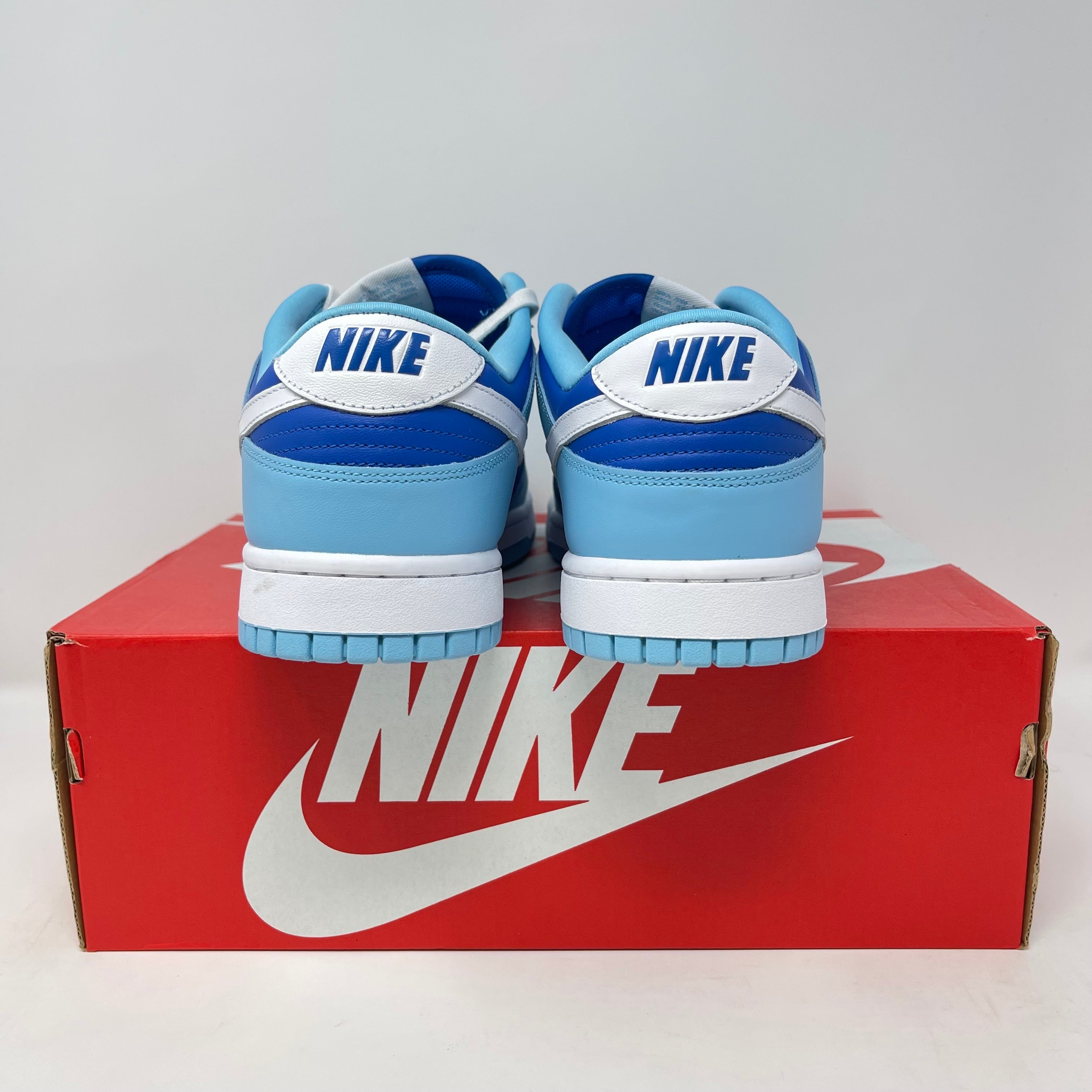 Nike Dunk Low Retro QS Argon (2022)