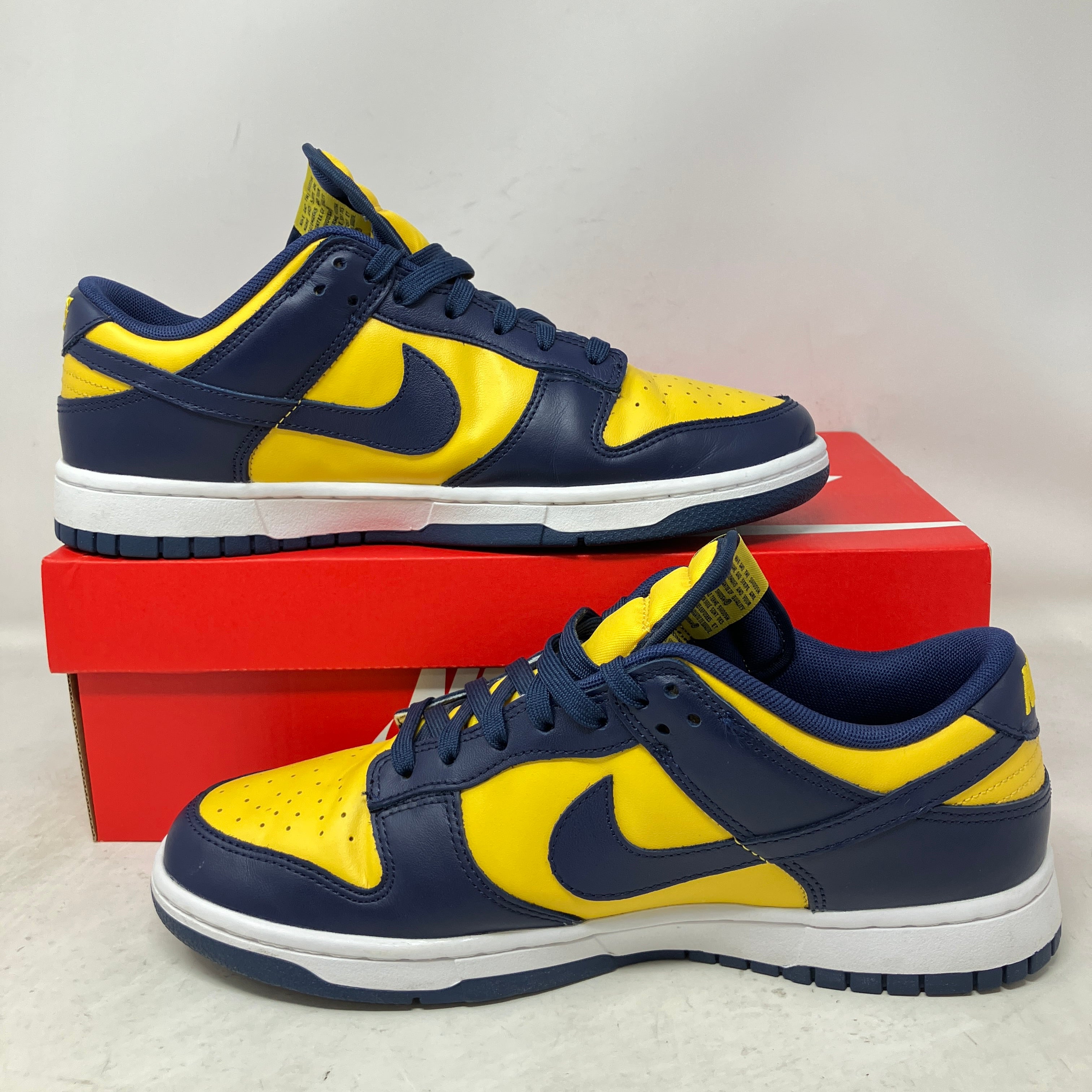 Nike Dunk Low Michigan (2021)
