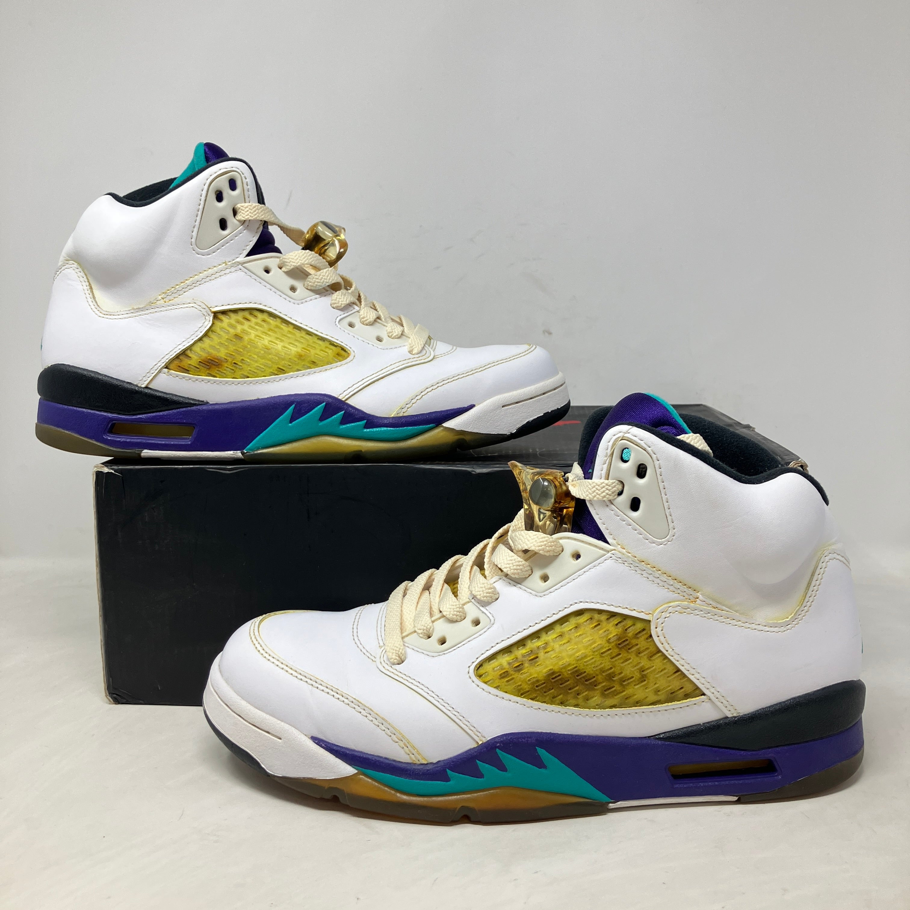 Jordan 5 Retro Grape (2013)