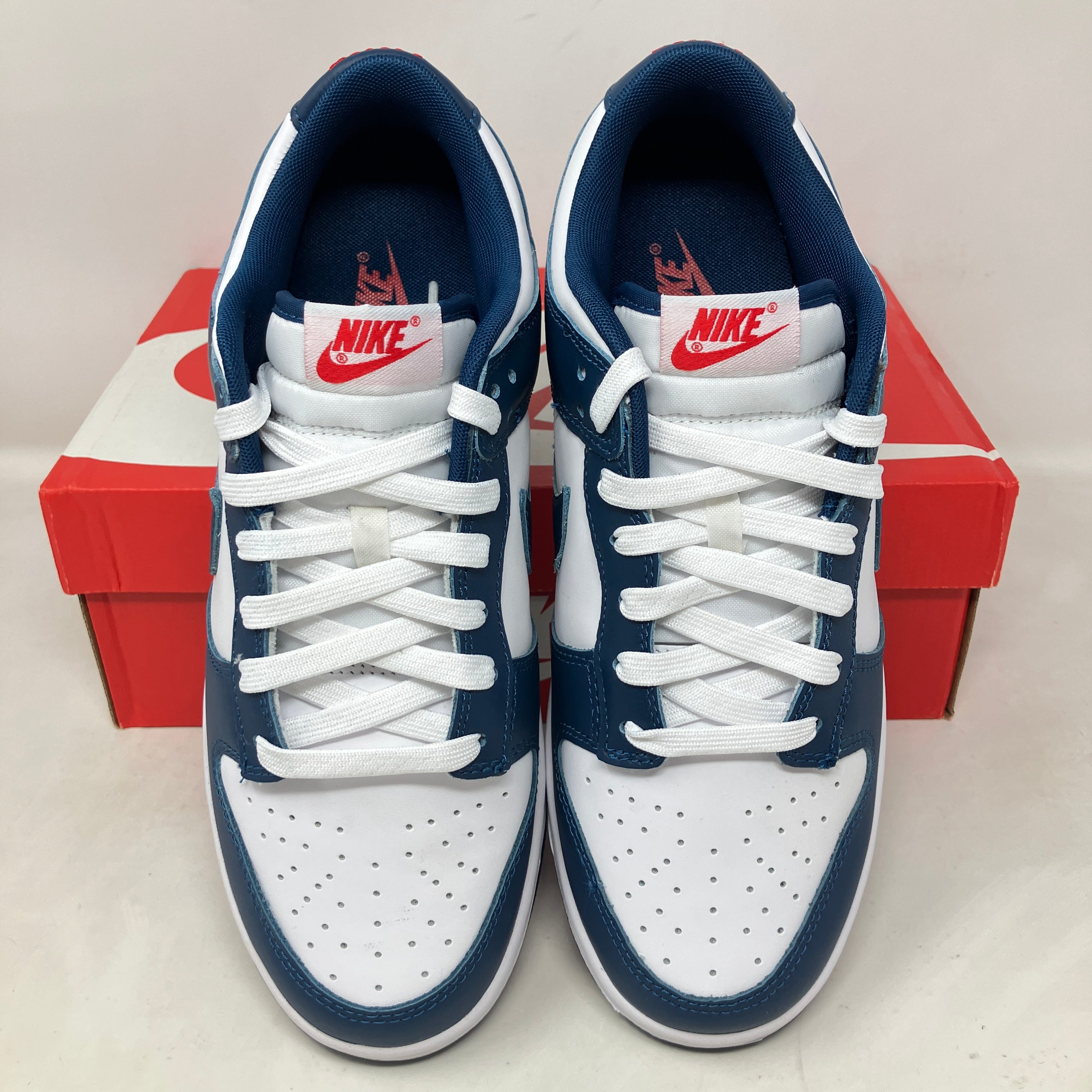 Nike Dunk Low Valerian Blue