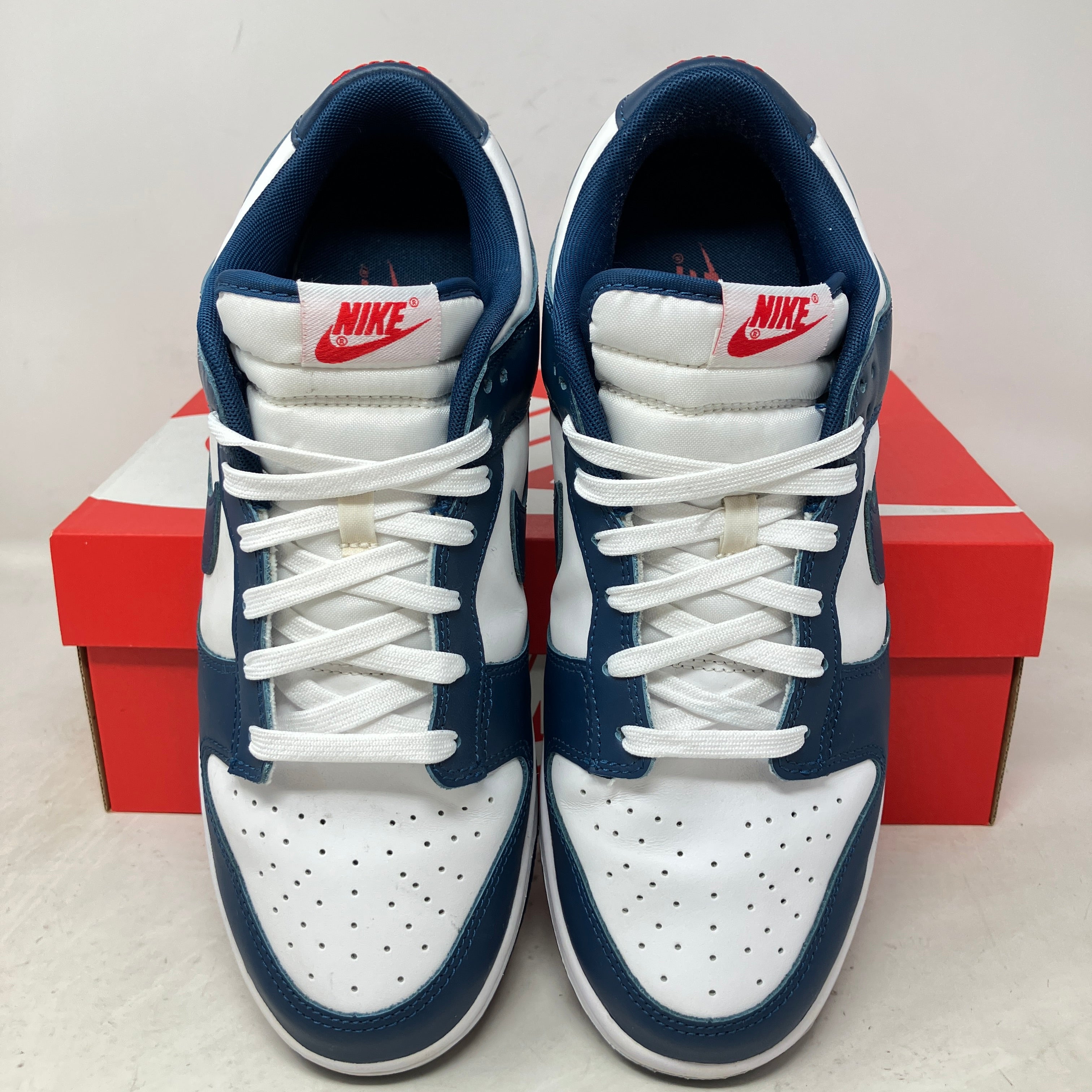 Nike Dunk Low Valerian Blue
