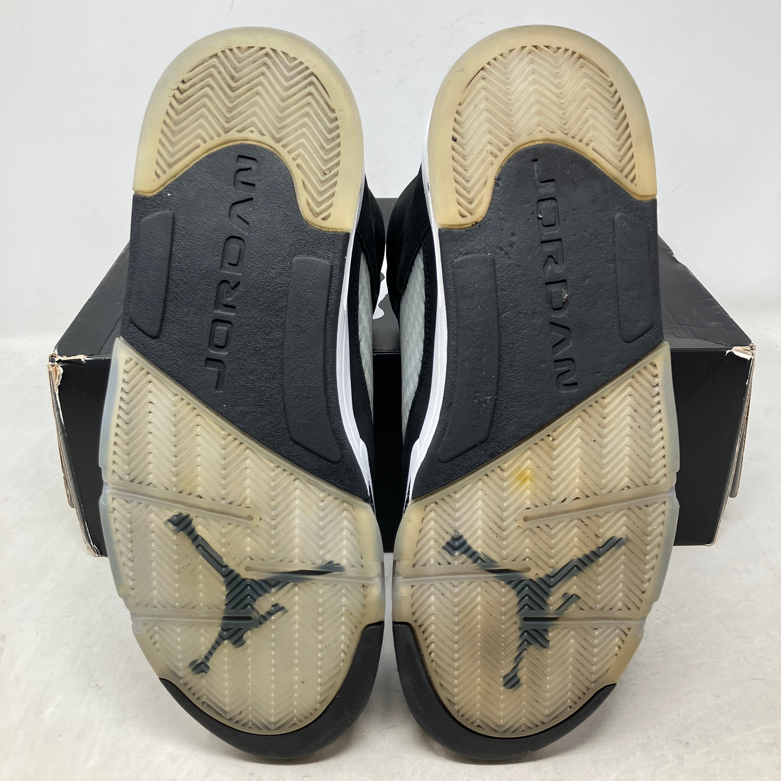 Jordan 5 Retro Moonlight (2021)
