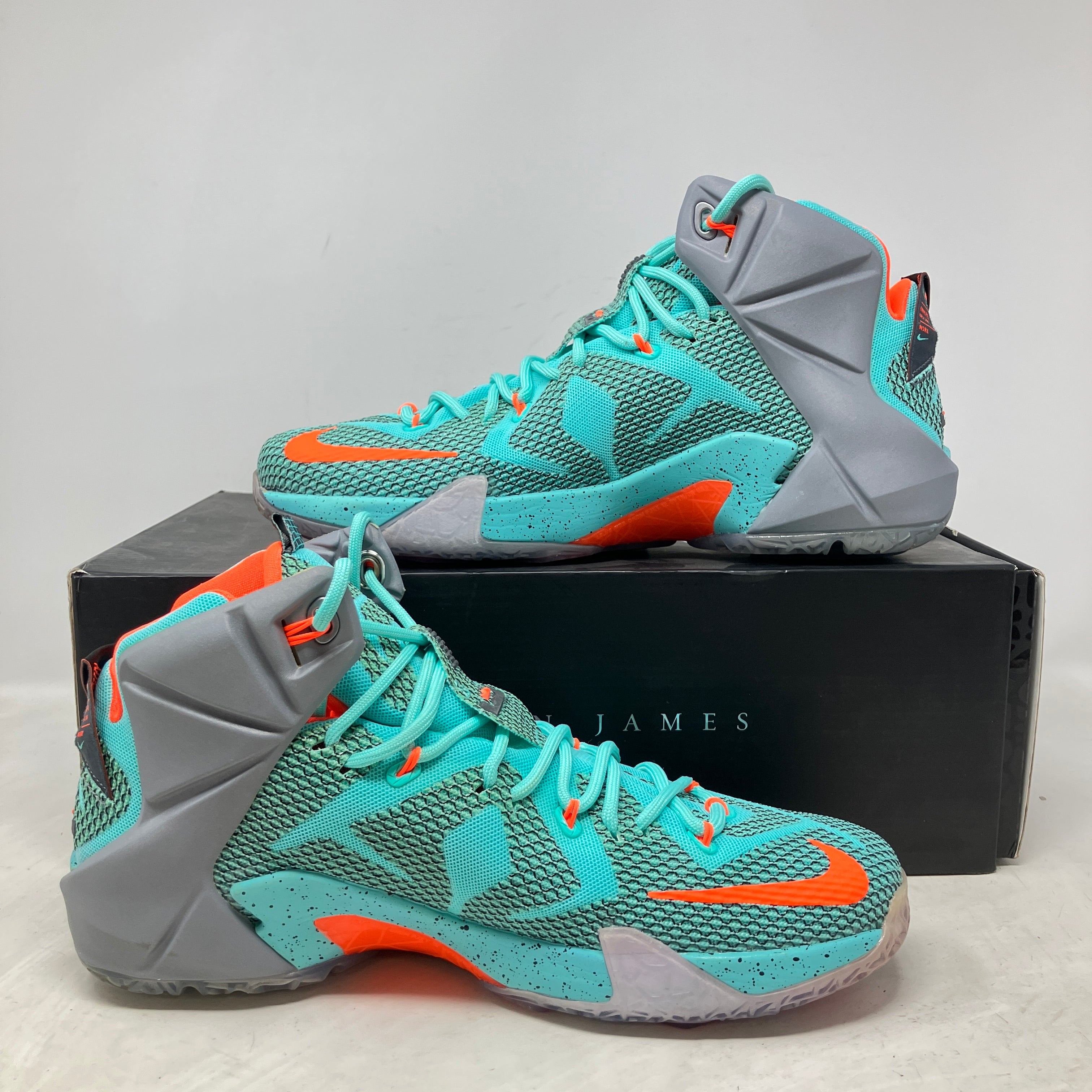 Nike LeBron 12 NSRL