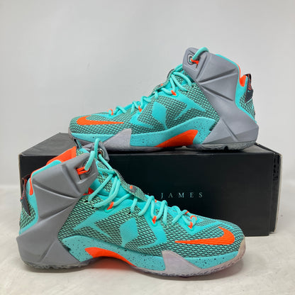 Nike LeBron 12 NSRL