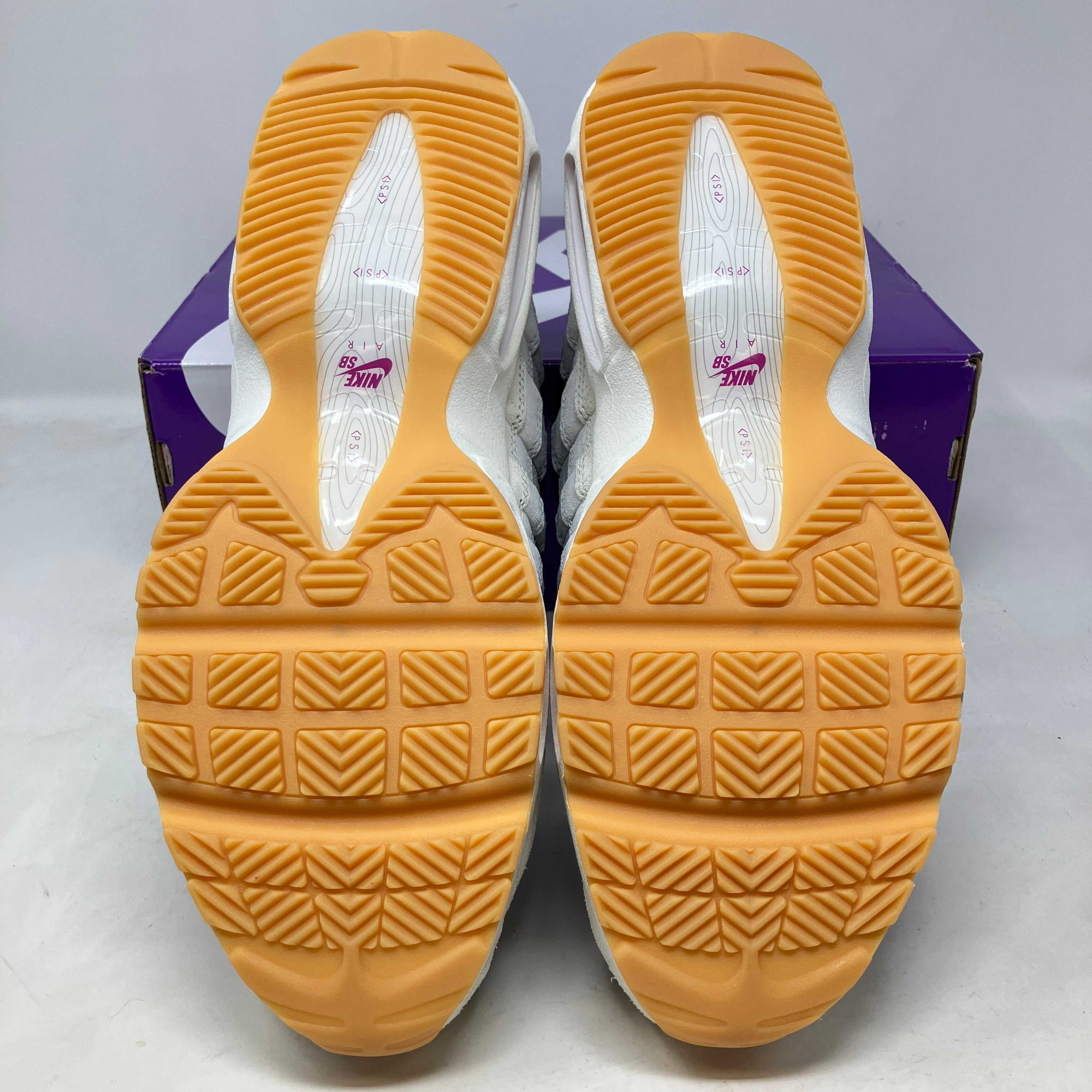 Nike Air Max 95 SB Cactus Flower