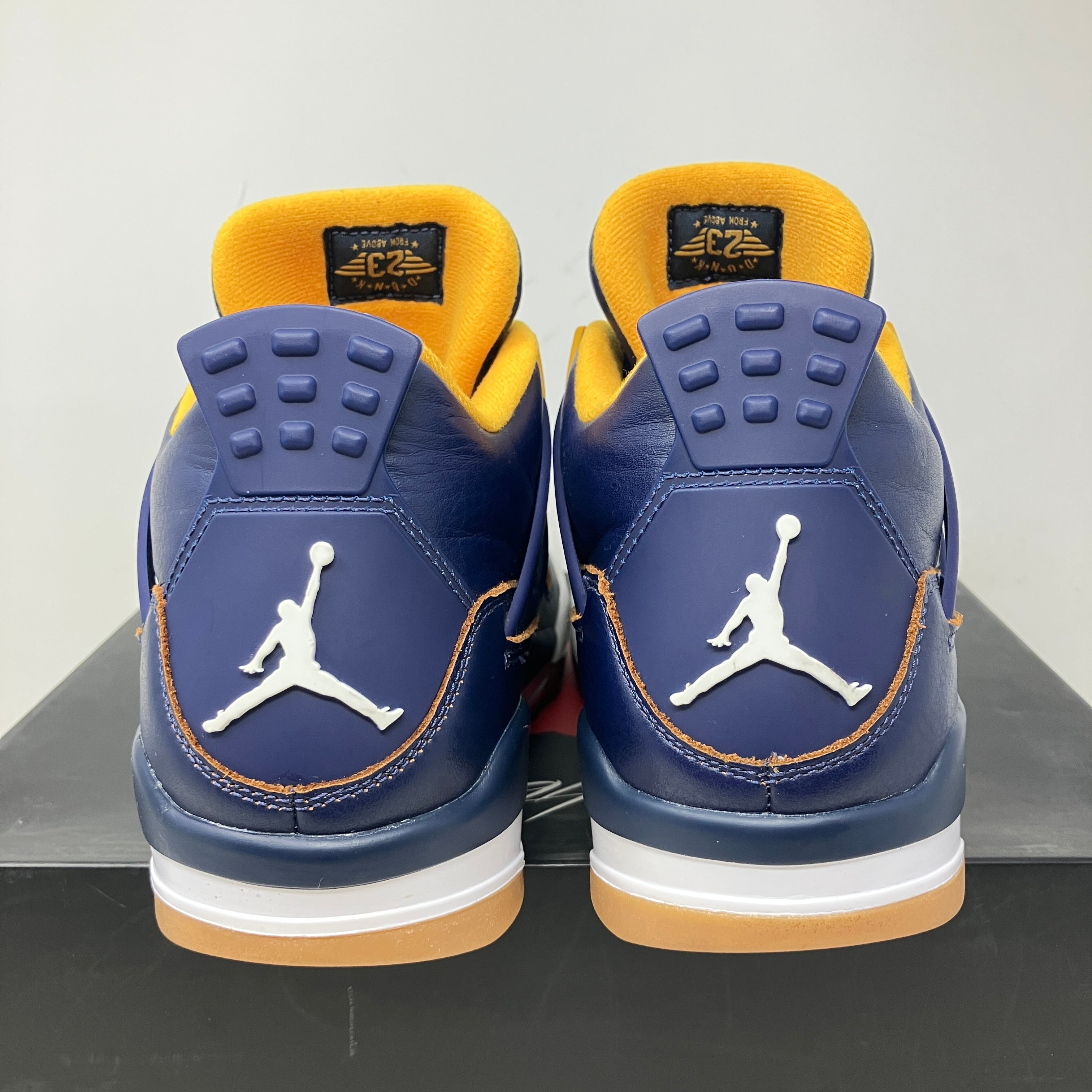 Jordan 4 Retro Dunk From Above