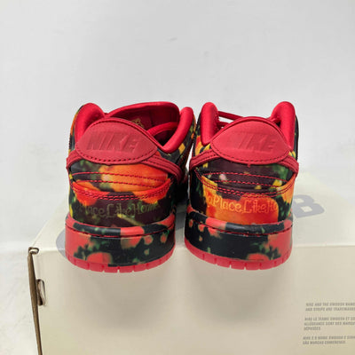 Nike SB Dunk Low The Wizard of Oz Poppy Field (PS/TD)