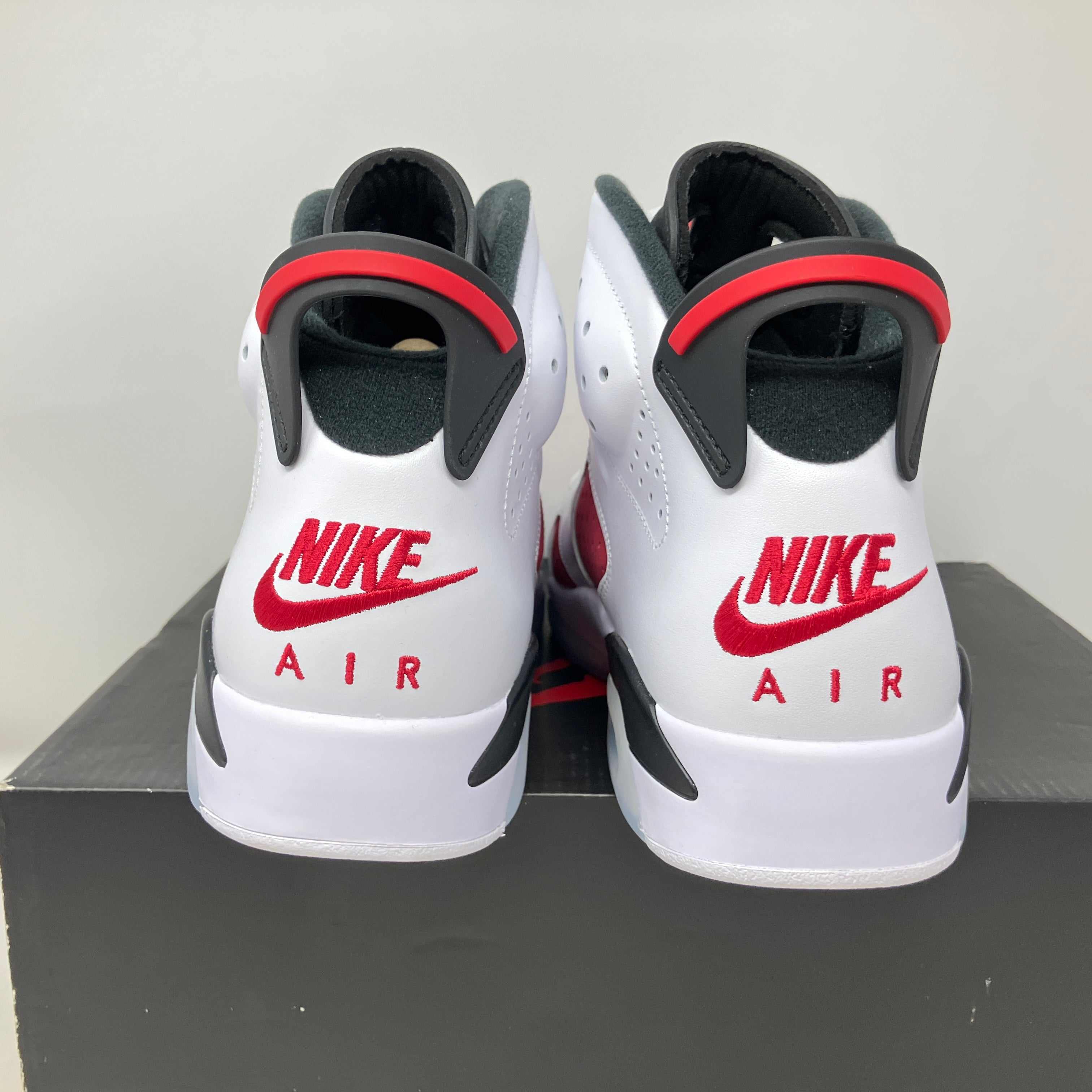 Jordan 6 Retro Carmine (2021)