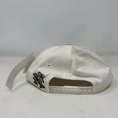 Vintage Miami Hurricanes American Needle Snapback
