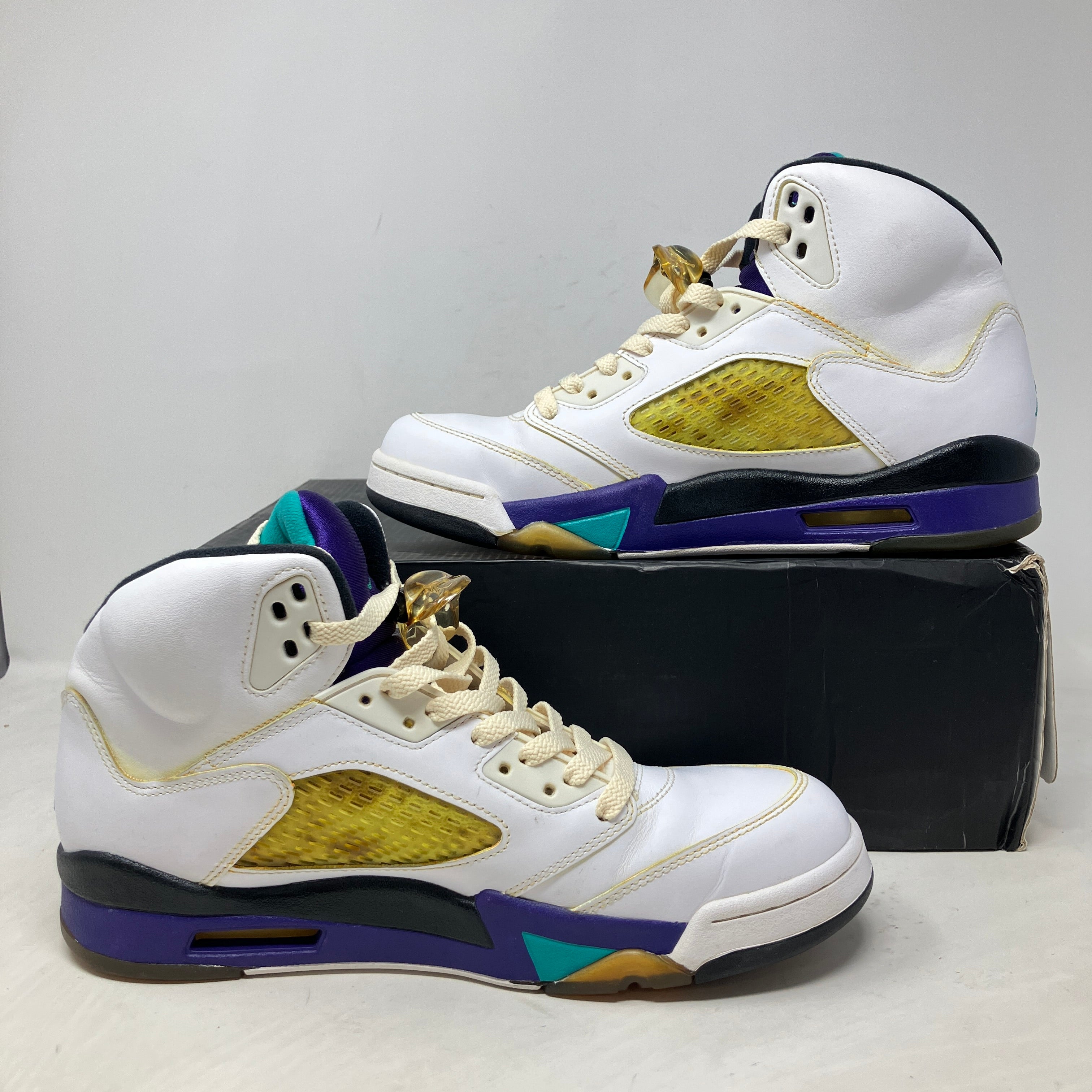 Jordan 5 Retro Grape (2013)