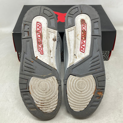 Jordan 3 Retro Cool Grey (2021) (GS)
