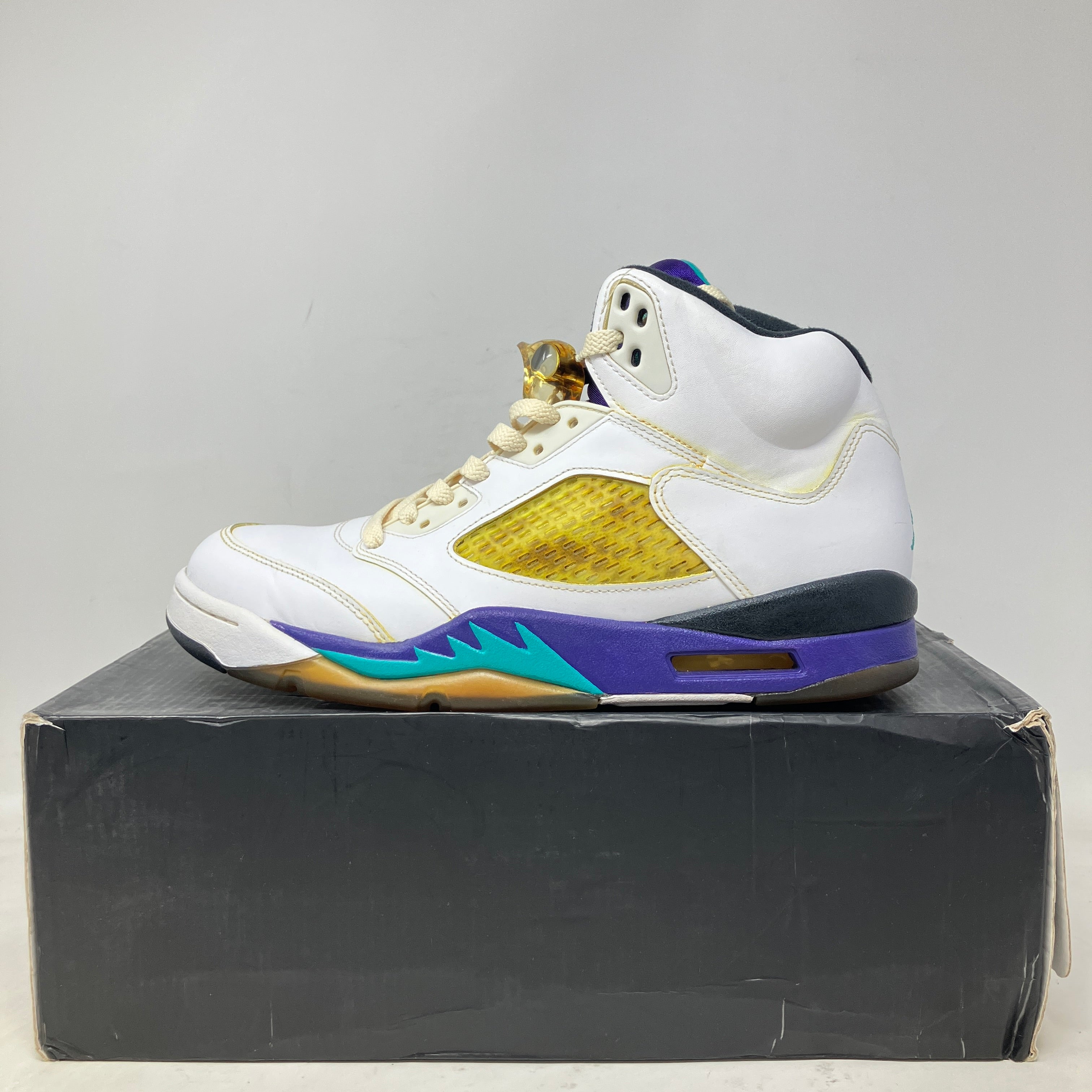 Jordan 5 Retro Grape (2013)