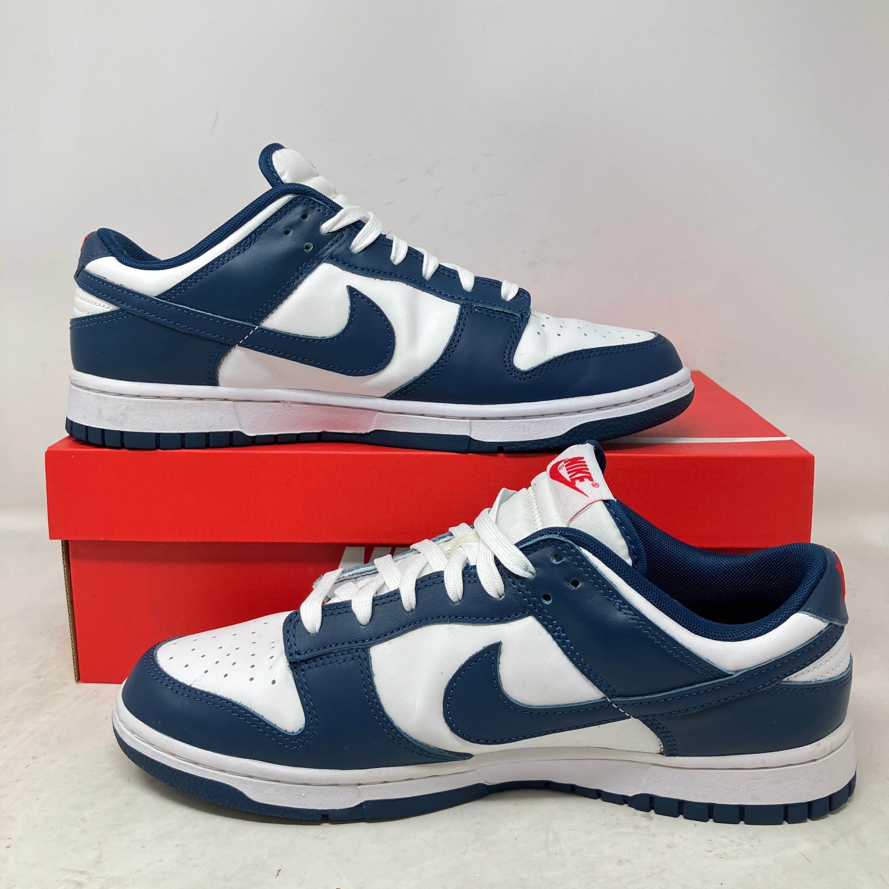 Nike Dunk Low Valerian Blue