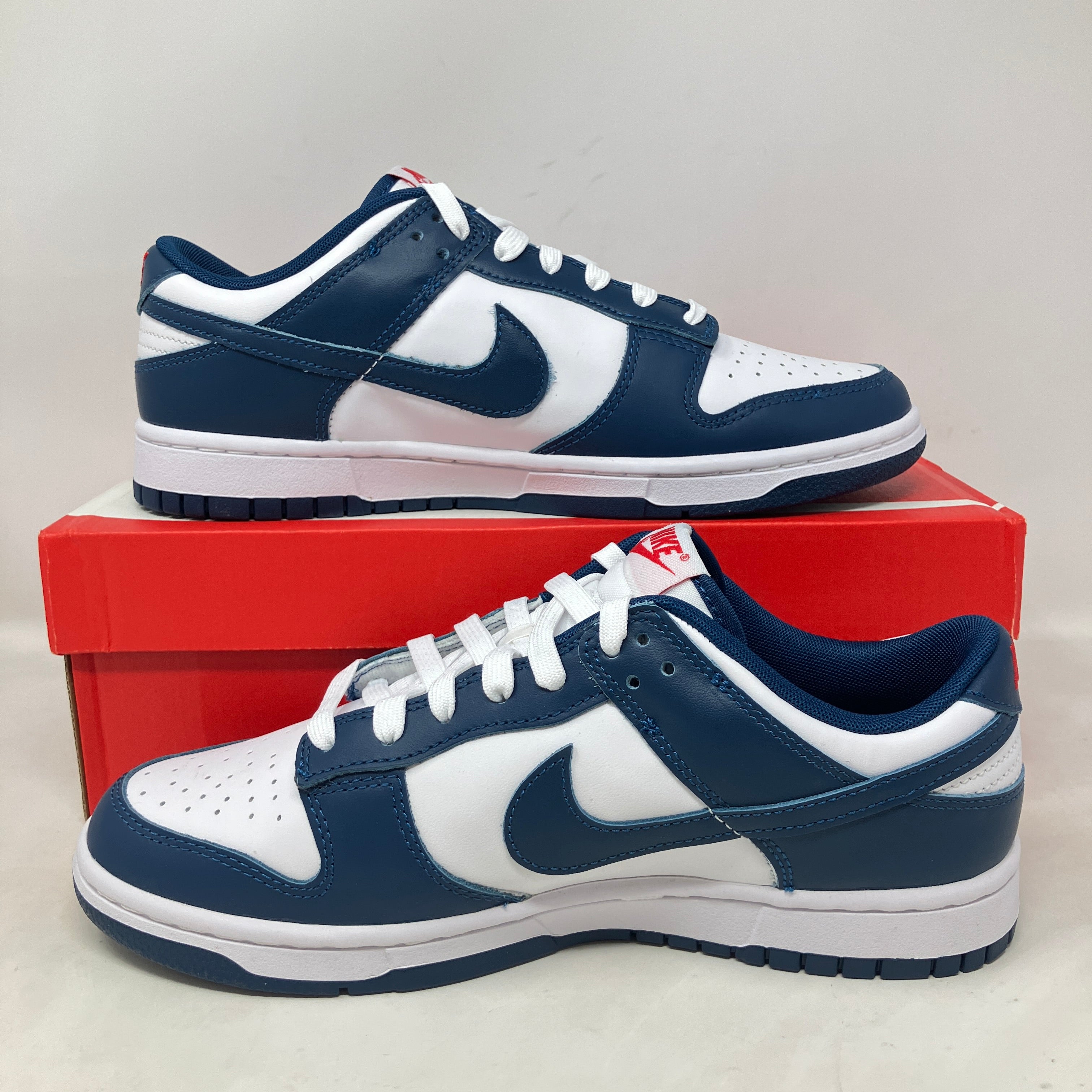 Nike Dunk Low Valerian Blue