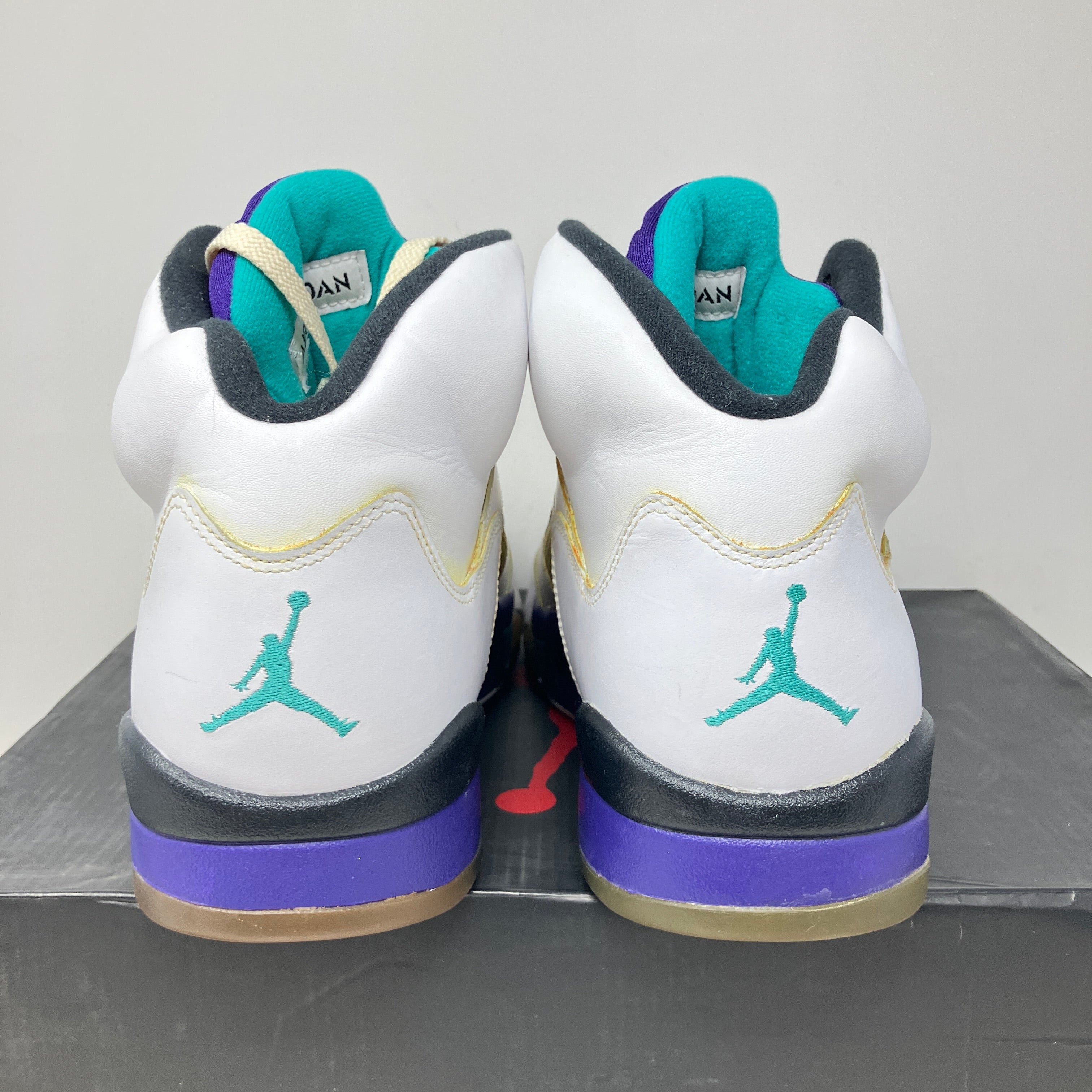 Jordan 5 Retro Grape (2013)