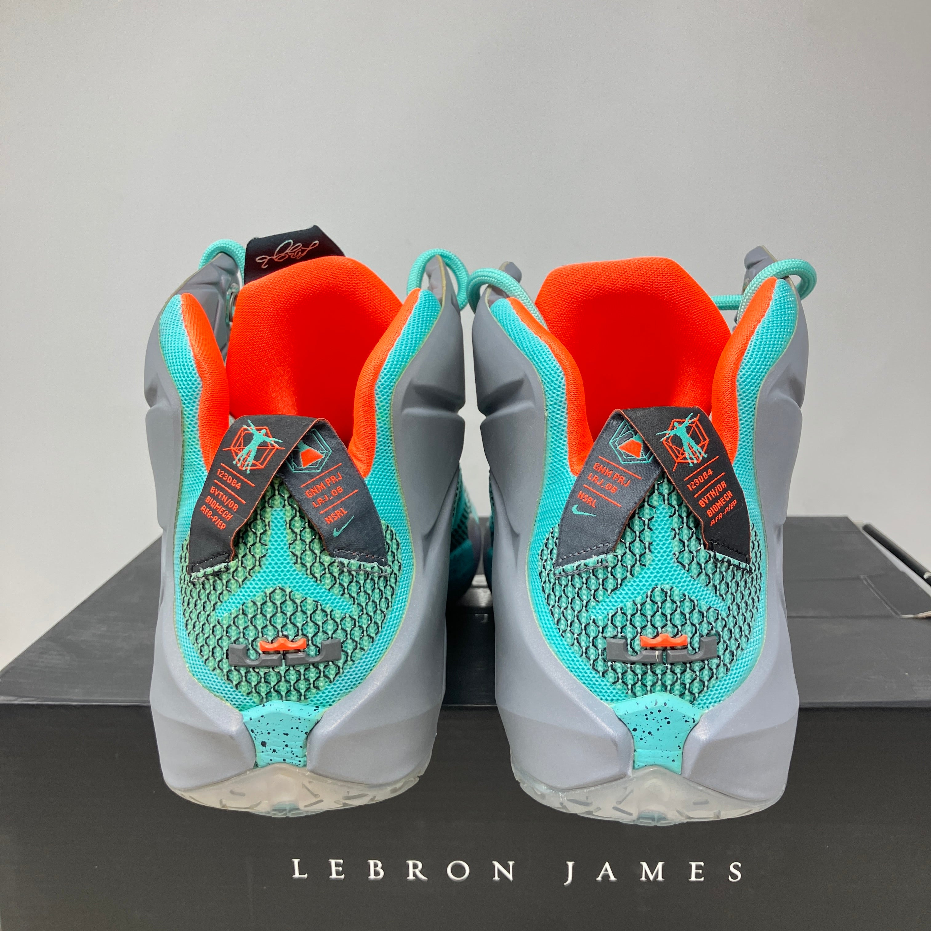 Nike LeBron 12 NSRL