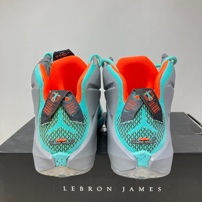 Nike LeBron 12 NSRL