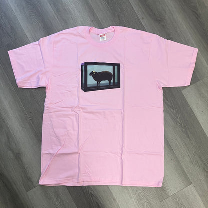 Supreme Damien Hirst Tee Light Pink
