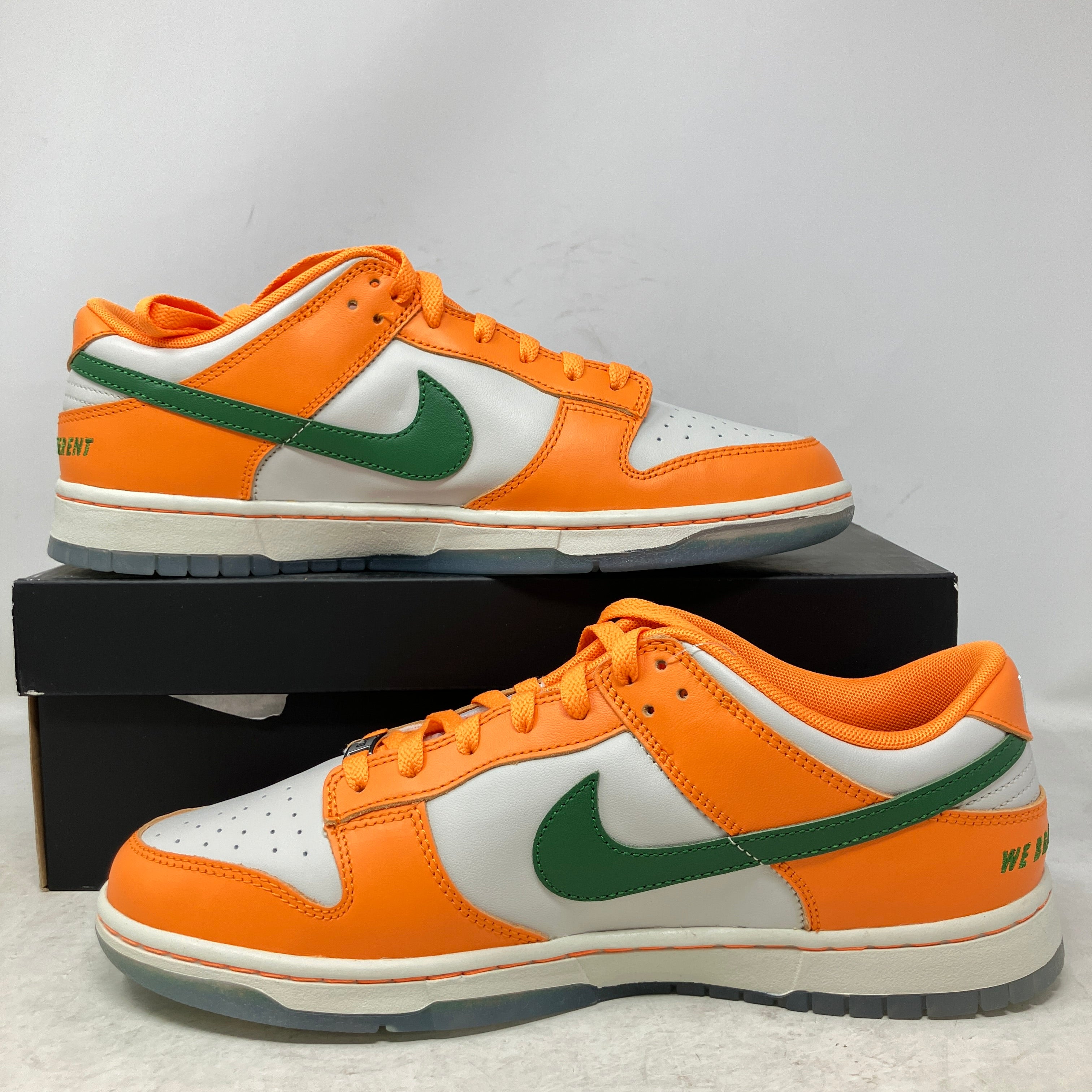 Nike Dunk Low FAMU
