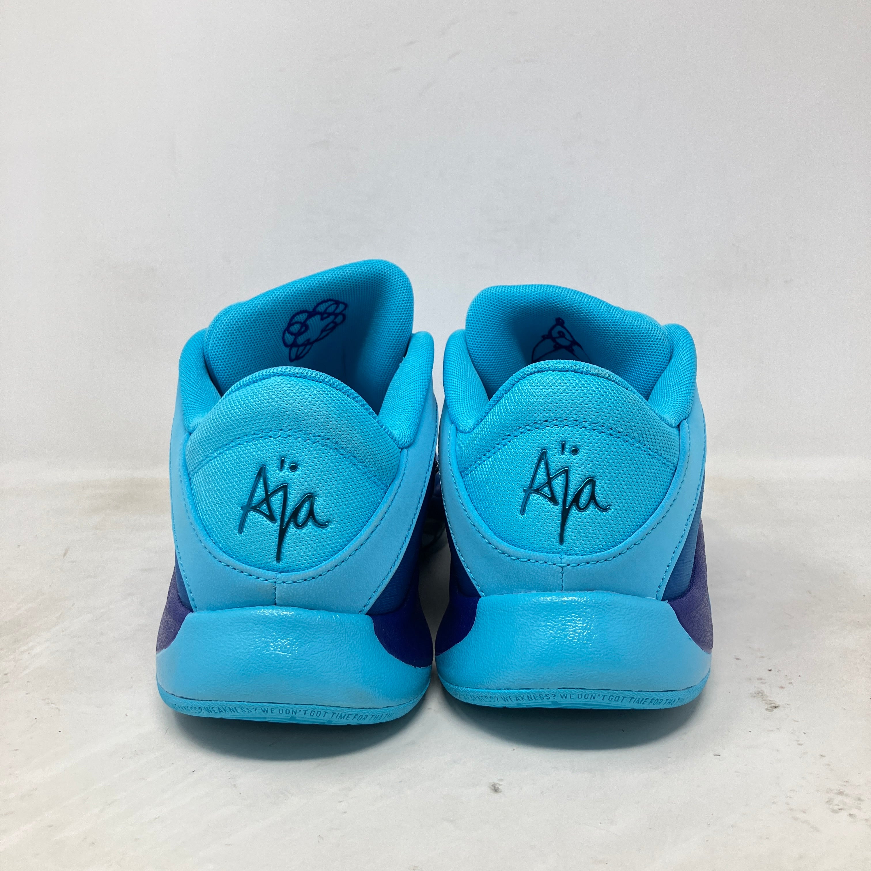 Nike A'ja Wilson A'One Indigo Girl (Women's)