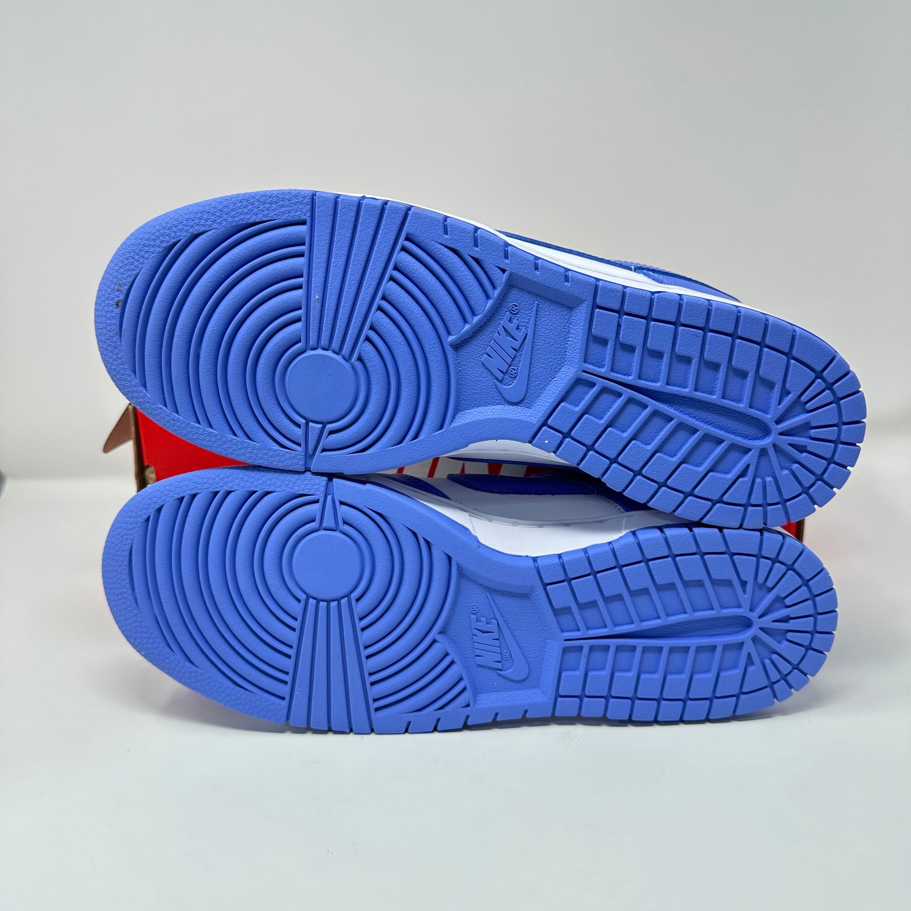 Nike Dunk Low Polar Blue