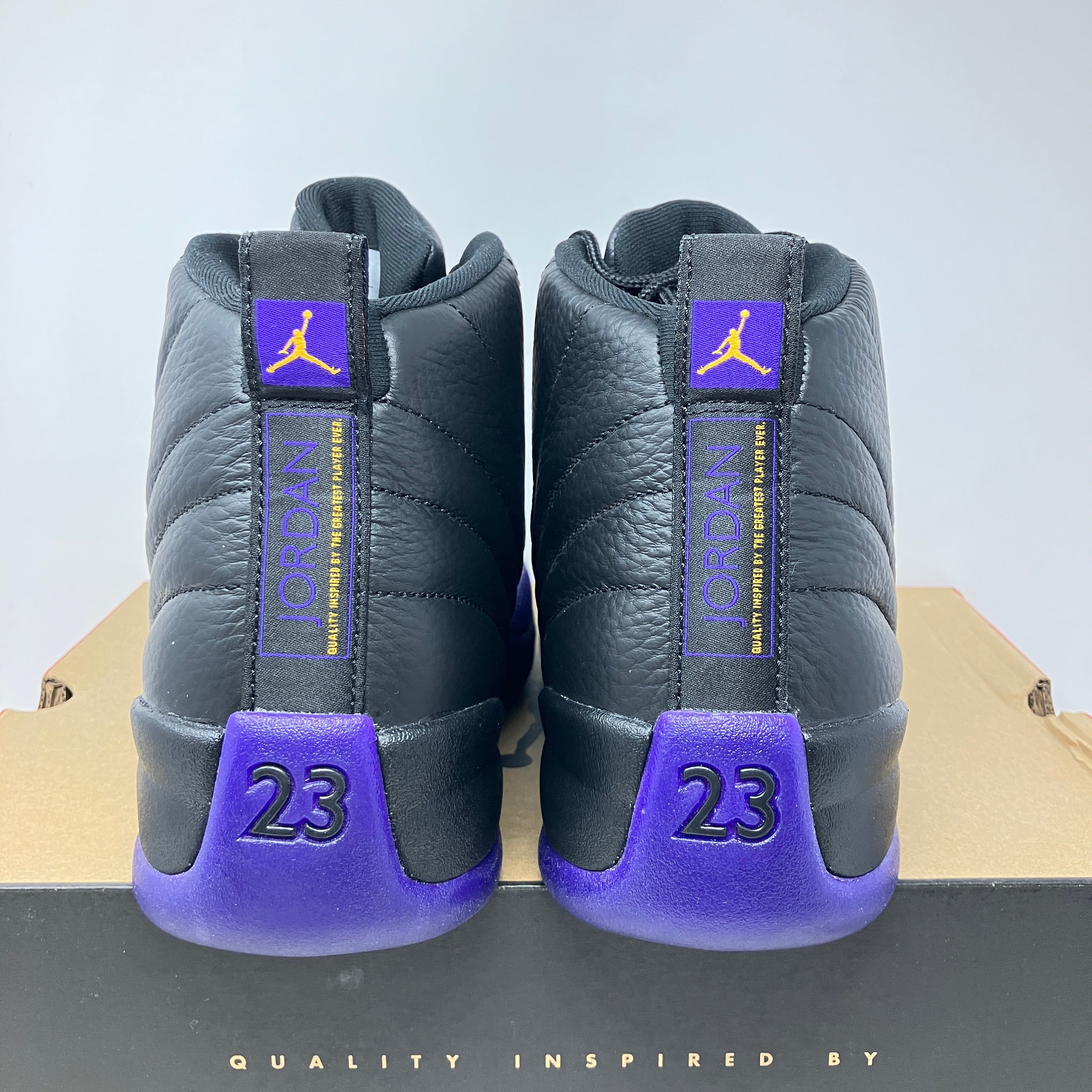 Jordan 12 Retro Field Purple