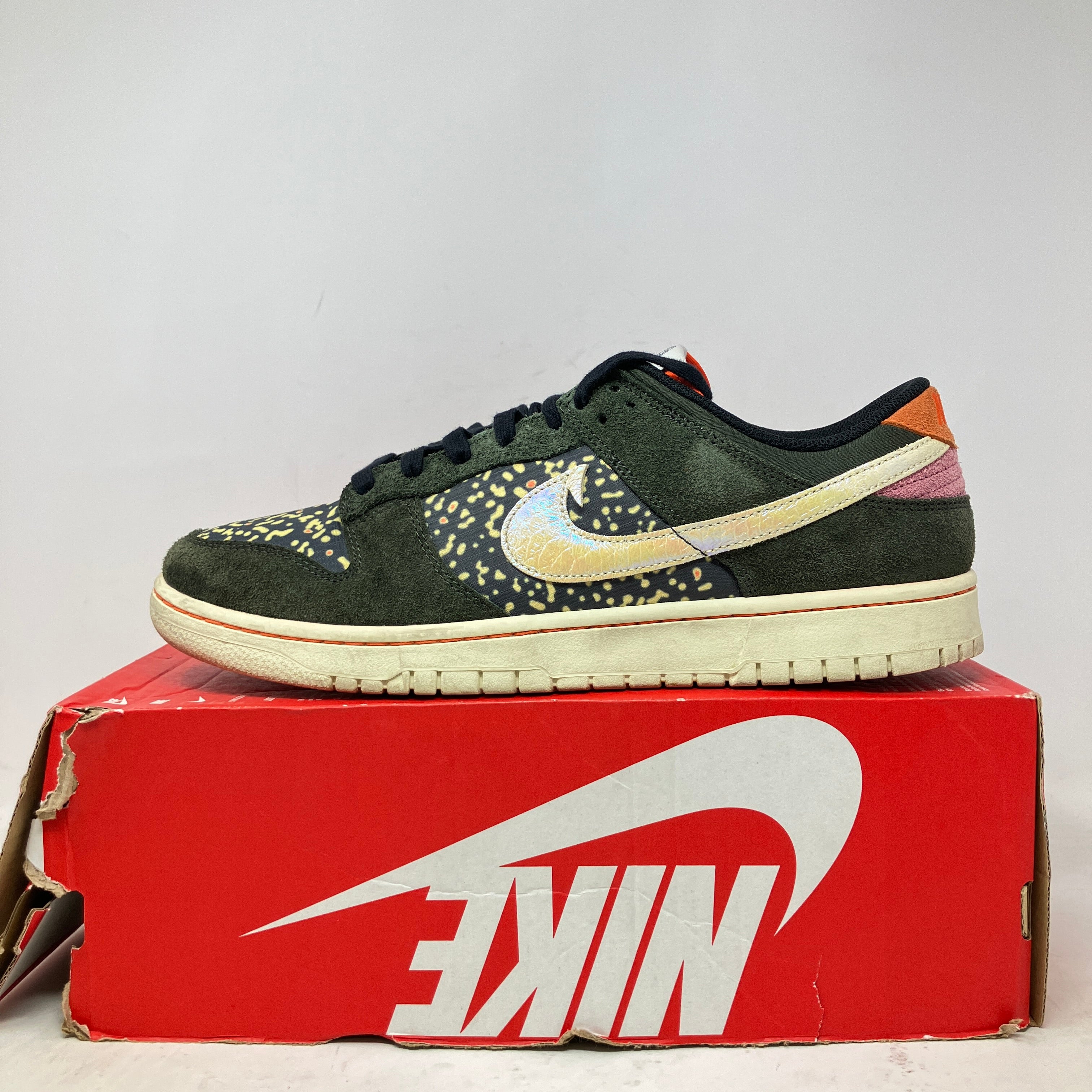 Nike Dunk Low SE Gone Fishing Rainbow Trout